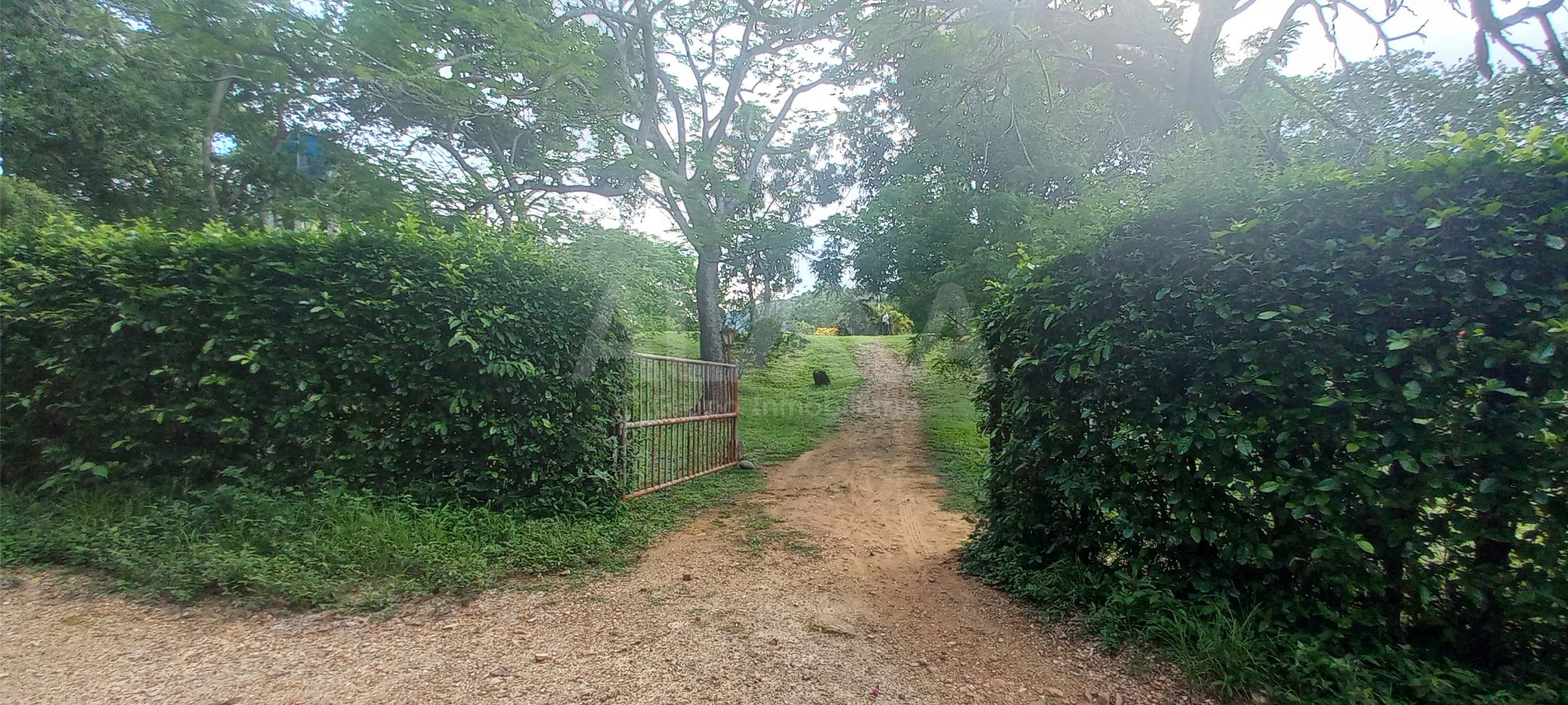 Imagen de  Finca en venta en Nilo